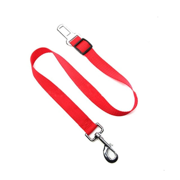 Red Car Seat Belt leash