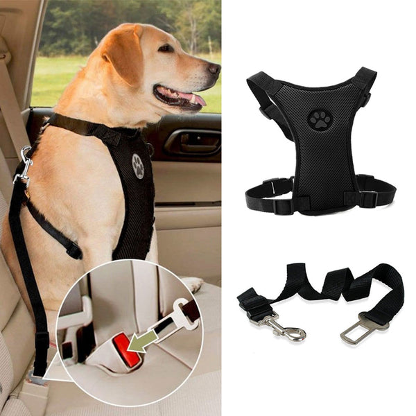 dog wearing Car Seat Belt leash and Breathable Mesh Harness in car