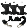 large medium and small Breathable Mesh Harnesses and a Car Seat Belt leash 